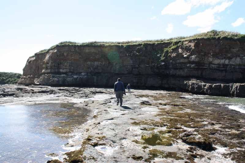 Nieuw-Zeeland 2011 - 1834